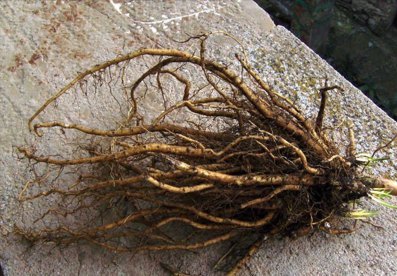 Способы ухода за акриловой ванной в домашних условиях