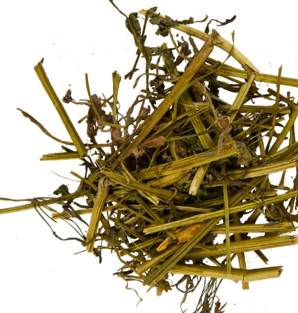 Как самостоятельно убрать запах кошачьей мочи в доме