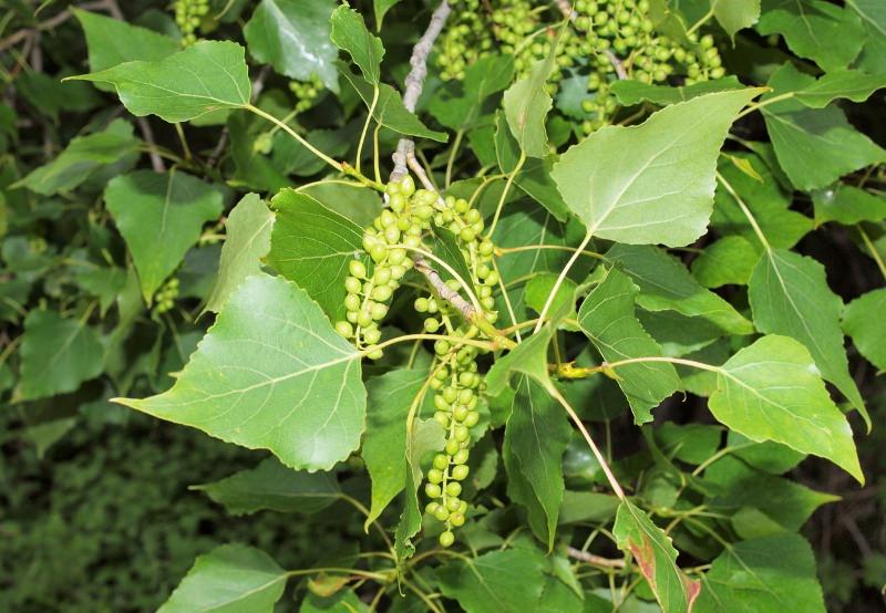 Как самостоятельно стирать куртку из полиэстера