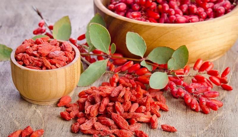 Ягоды годжи