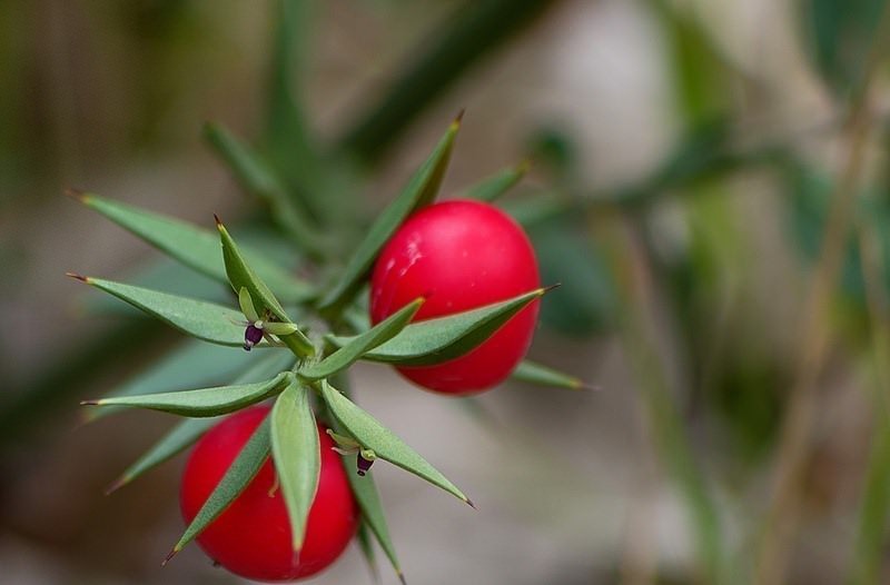 Как можно вывести пятно от красного вина