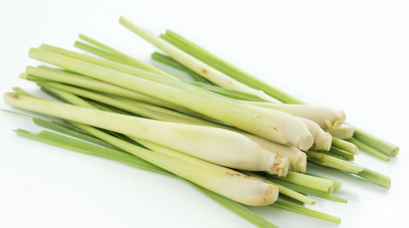 Что такое лемонграсс?