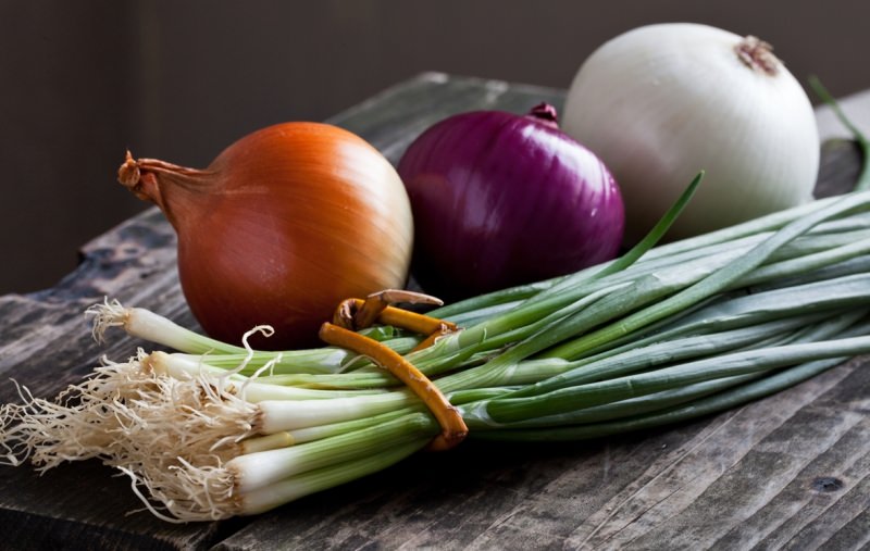 Удивительные свойства привычного репчатого лука