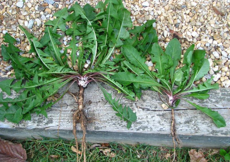 Как самостоятельно отстирать воск от одежды