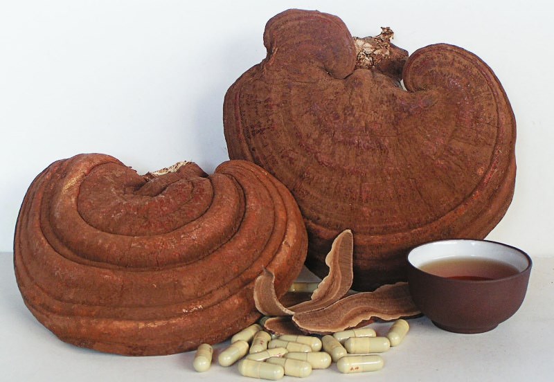 Как эффективно очистить белую подошву