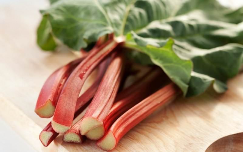 Для чего используют корень ревеня