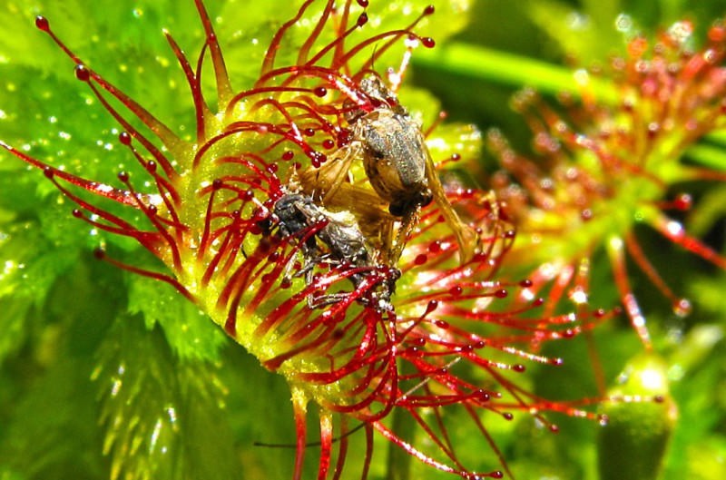 Правила стирки и сушки, или как расправить пух в пуховике после стирки