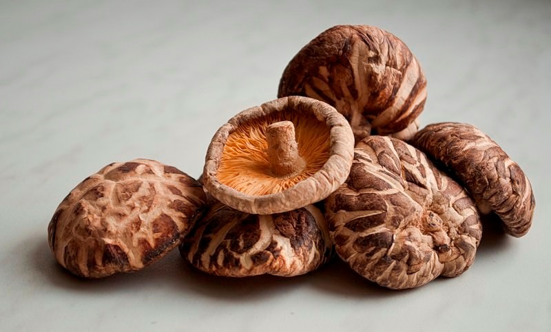 Материал нубук и уход за ним