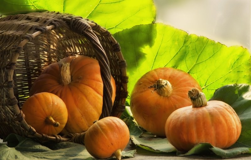 Как самостоятельно убрать пластилин с ковра