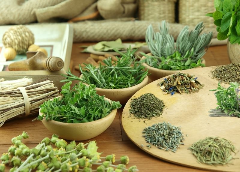 Лечебный травник