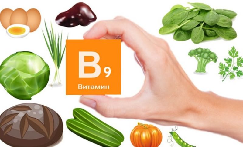 Чем полезен для здоровья витамин В9?