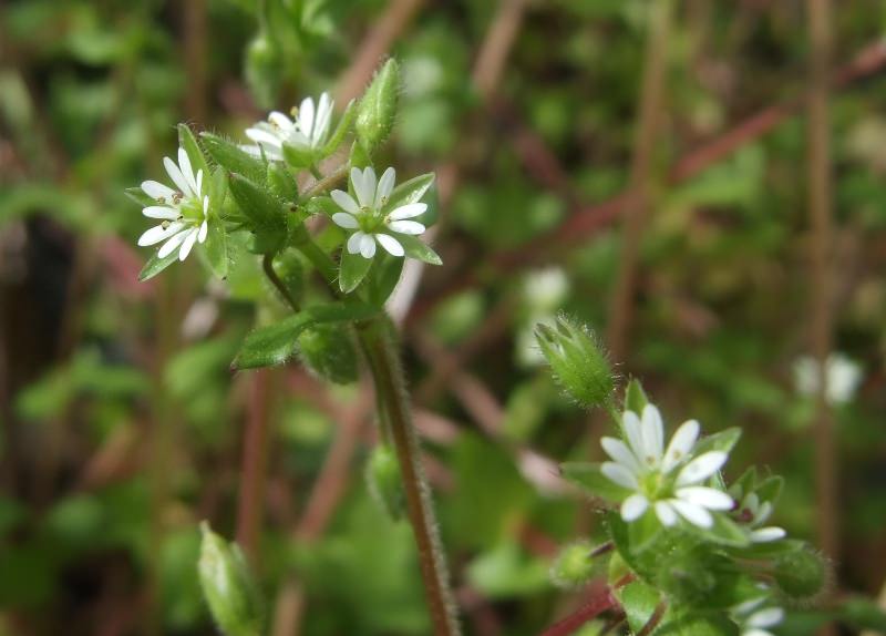 Качественная реставрация бронзовых изделий