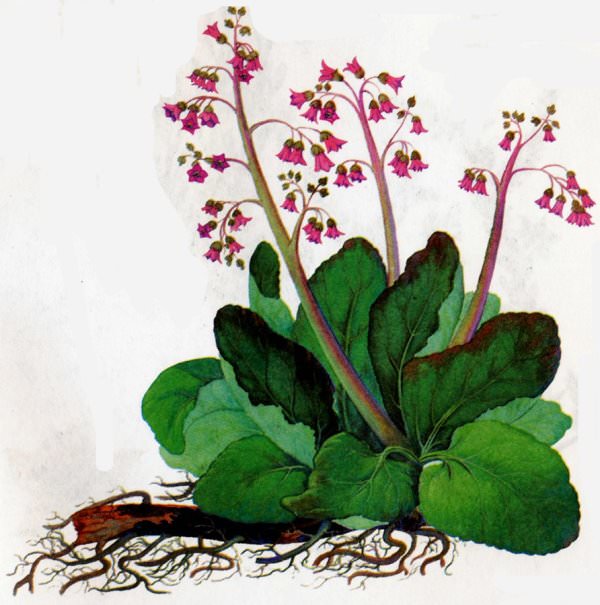 Как самостоятельно отстирать корректор с одежды