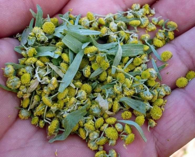 Действие и особенности применения смывки для краски