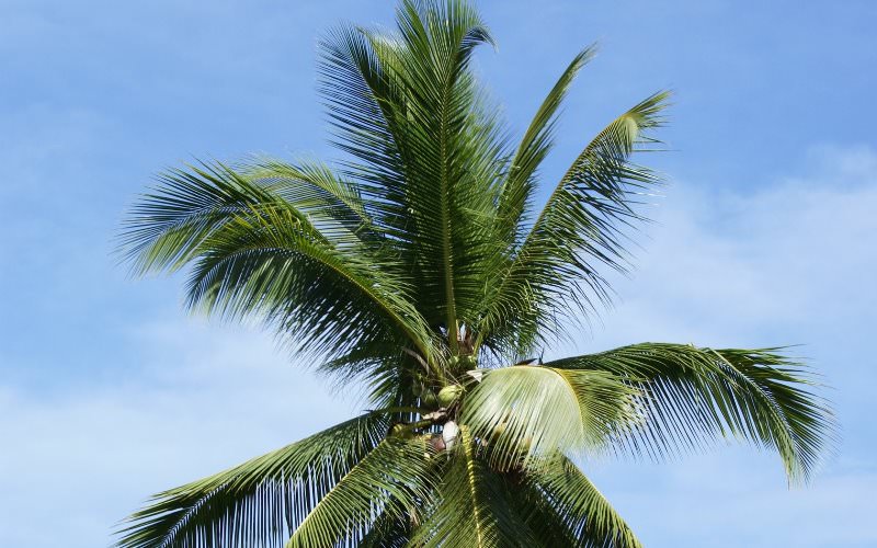 Как самому кипятить белье в домашних условиях