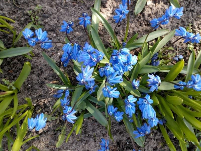 Как быстро вывести краску с одежды