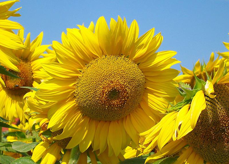 Полезные советы: как убрать клей с одежды