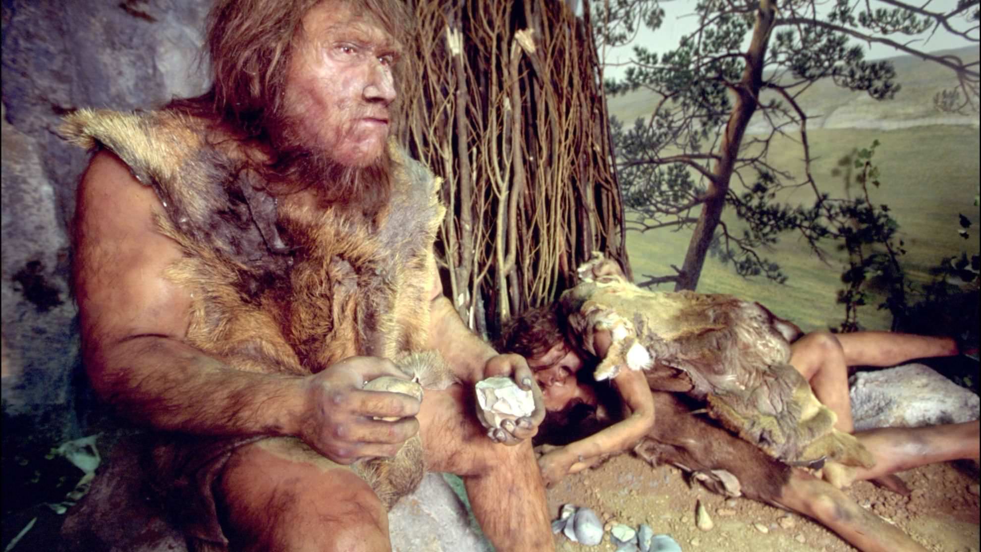 Общего потомства у женщин-сапиенсов и мужчин-неандертальцев не было