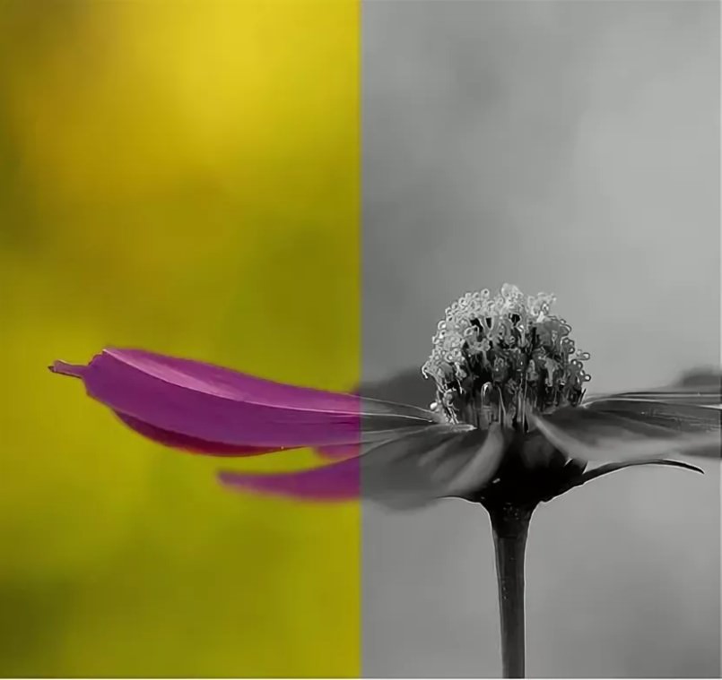 Почему лучше не использовать чёрно-белый фильтр в Instagram