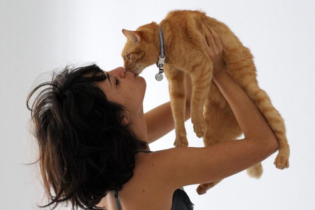 Не целуйте кошку