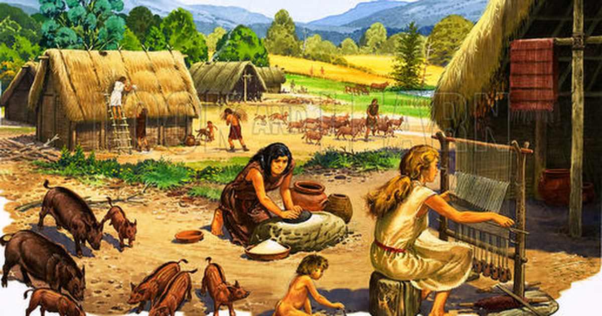 В эпоху неолита между женщинами и мужчинами существовало равноправие