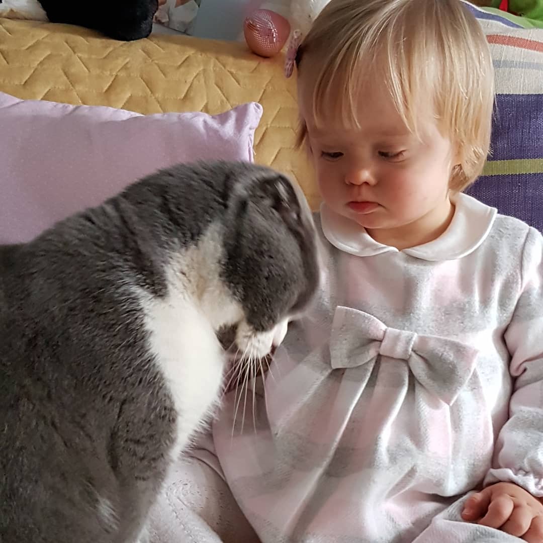 От девочки с синдромом Дауна отказались 20 семей