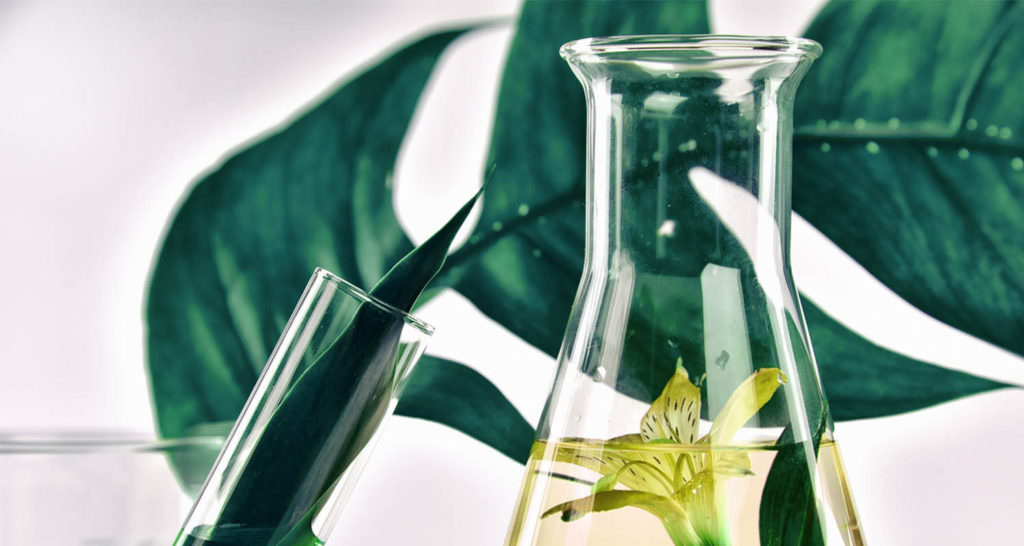 Тренды здорового образа жизни