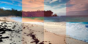 Тест: Угадайте, где есть фильтр на фото