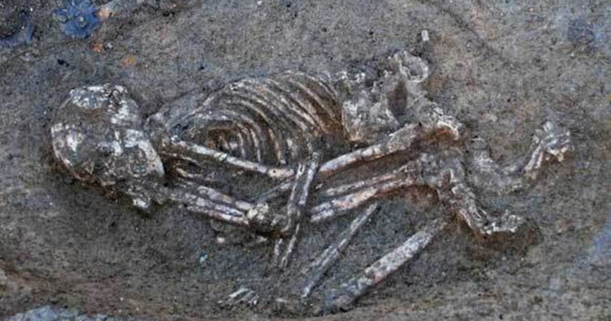 Черные отметины нашли на скелете женщины на территории Украины