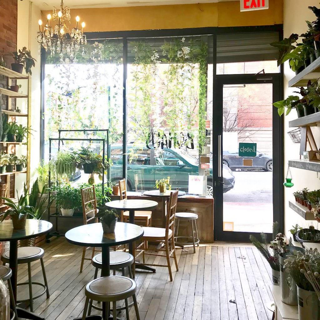 Насладиться кофе под аромат цветов: новый тренд из Нью-Йорка