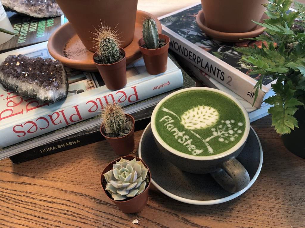 Насладиться кофе под аромат цветов: новый тренд из Нью-Йорка