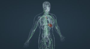 Тест: Вы знаете анатомию?