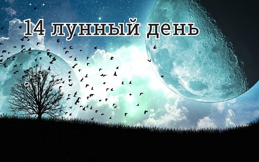 15 лунный день: характеристика пятнадцатых лунных суток