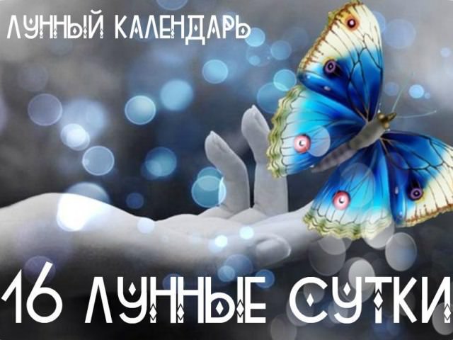 16 лунный день: характеристика шестнадцатых лунных суток
