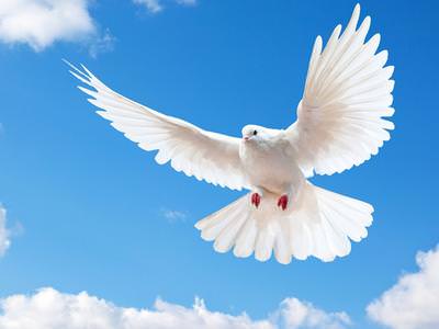 16 лунный день: характеристика шестнадцатых лунных суток