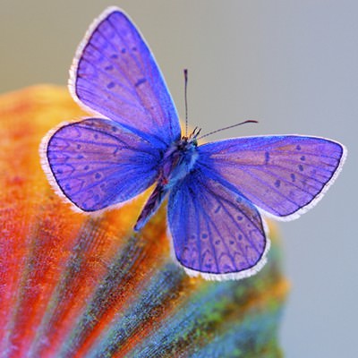 16 лунный день: характеристика шестнадцатых лунных суток