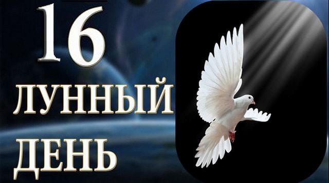 16 лунный день: характеристика шестнадцатых лунных суток