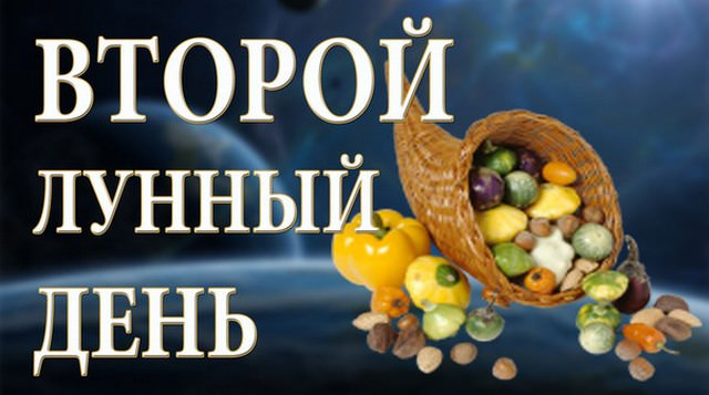 2 лунный день: характеристика и особенности вторых лунных суток