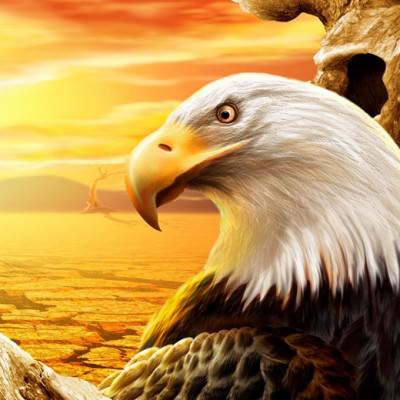 20 лунный день: характеристика и особенности двадцатых лунных суток