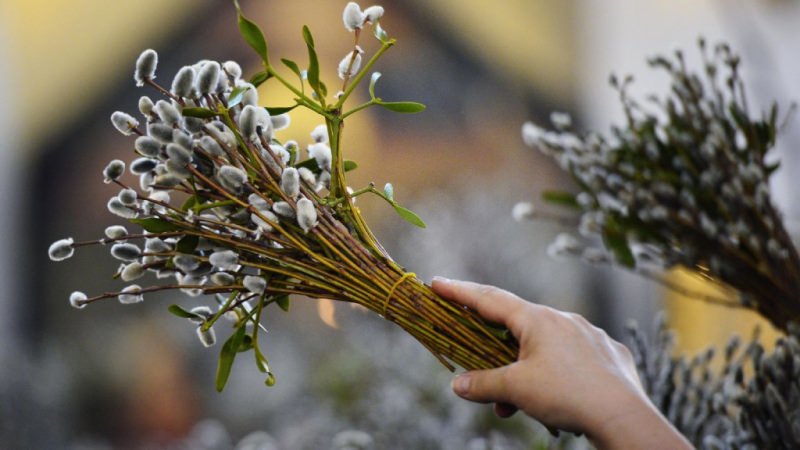 21 апреля – Вербное Воскресенье 2019: приметы, заговоры и обряды