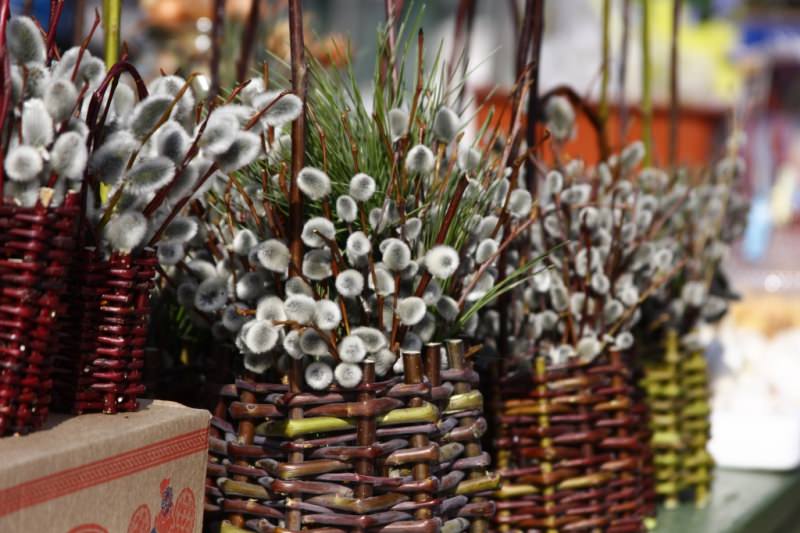 21 апреля – Вербное Воскресенье 2019: приметы, заговоры и обряды