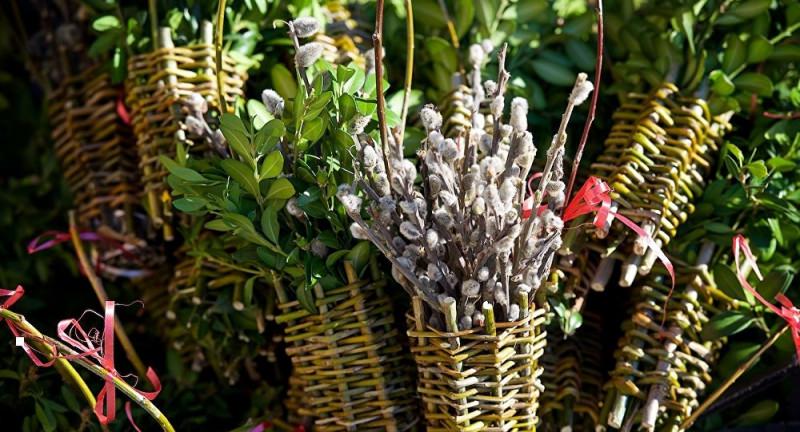 21 апреля – Вербное Воскресенье 2019: приметы, заговоры и обряды