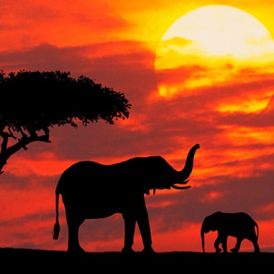 22 лунный день: характеристика двадцать вторых лунных суток