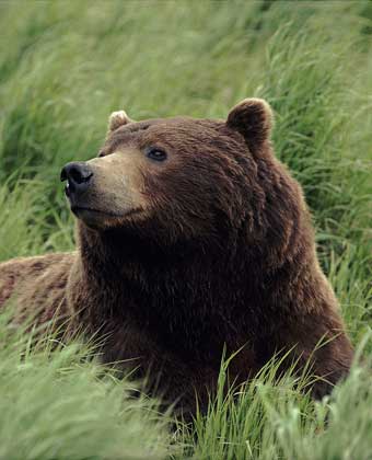 24 лунный день: характеристика двадцать четвертых лунных суток