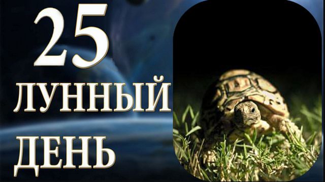 25 лунный день: характеристика двадцать пятых лунных суток