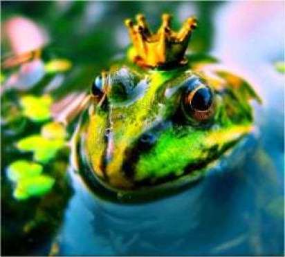 26 лунный день: характеристика двадцать шестых лунных суток