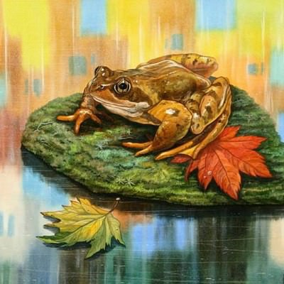 26 лунный день: характеристика двадцать шестых лунных суток