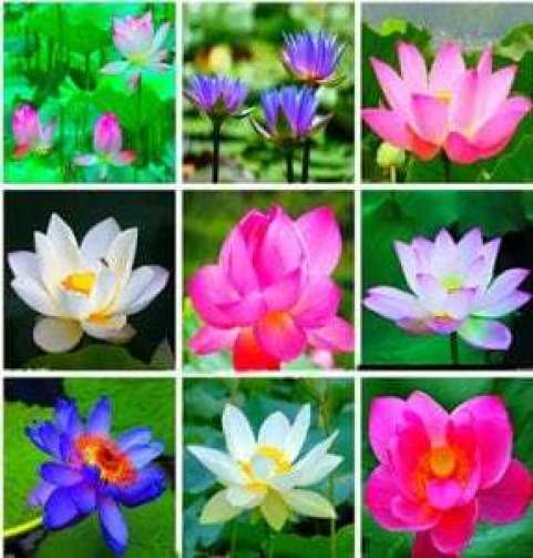 28 лунный день — полная характеристика в разных сферах жизни, приметы, энергетика