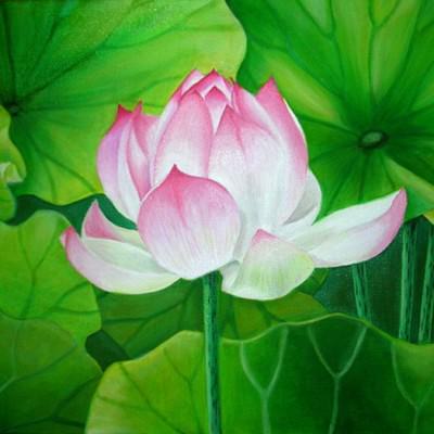 28 лунный день — полная характеристика в разных сферах жизни, приметы, энергетика