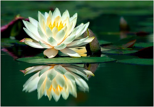 28 лунный день — полная характеристика в разных сферах жизни, приметы, энергетика